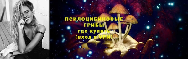 ПСИЛОЦИБИНОВЫЕ ГРИБЫ Абдулино