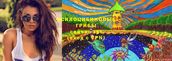 ПСИЛОЦИБИНОВЫЕ ГРИБЫ Абдулино