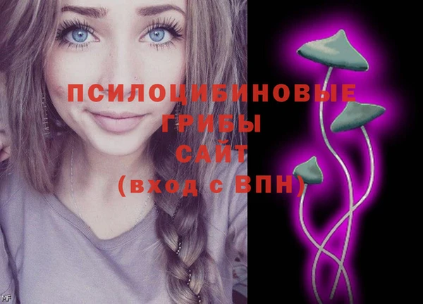 PSILOCYBIN Абаза
