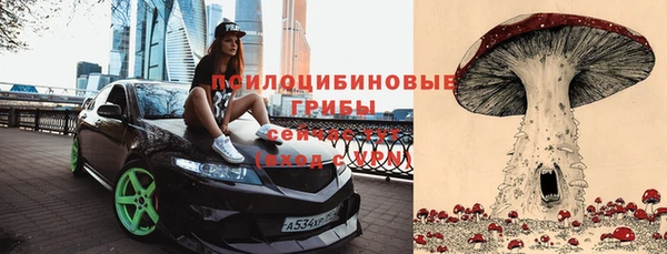 ПСИЛОЦИБИНОВЫЕ ГРИБЫ Абдулино