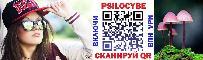 Галлюциногенные грибы Psilocybe  OMG онион  Новотитаровская 